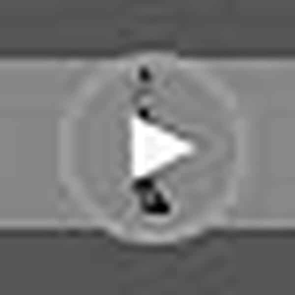 Prorelax Kit de manucure / pédicure DELUXE | Soins professionnels des mains et des pieds pour la maison et en déplacement | 15 accessoires de haute qualité en acier chirurgical | Lumière LED