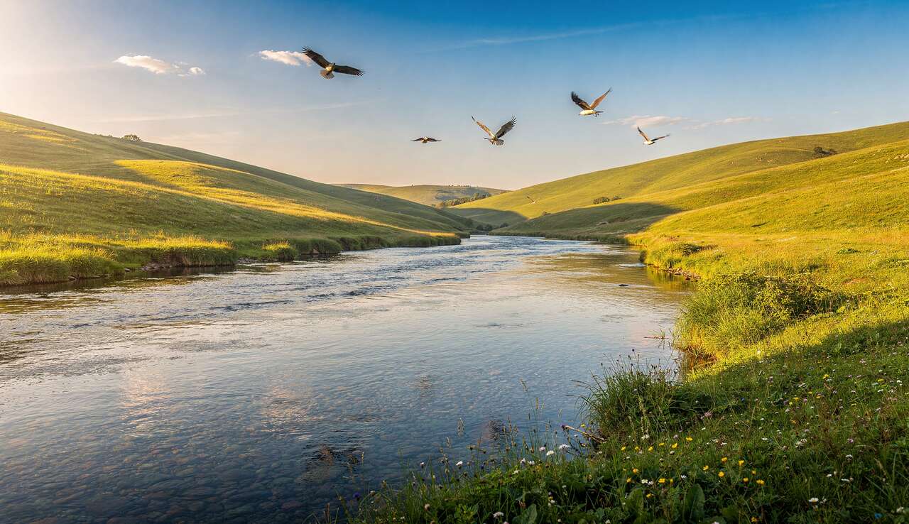Nature et calme : astuces bien-être