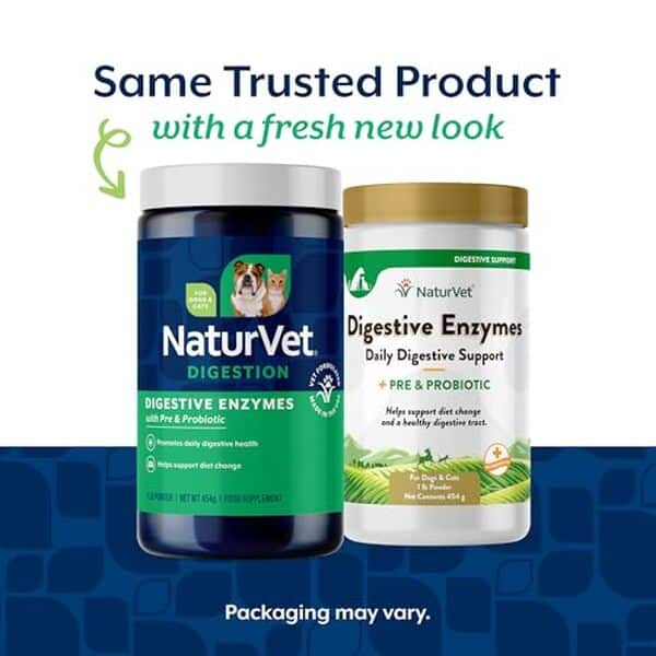 Découvrez notre test détaillé des enzymes digestives et probiotiques NaturVet : améliorez la digestion de votre compagnon avec notre analyse complète sur l'efficacité et les bienfaits du produit.